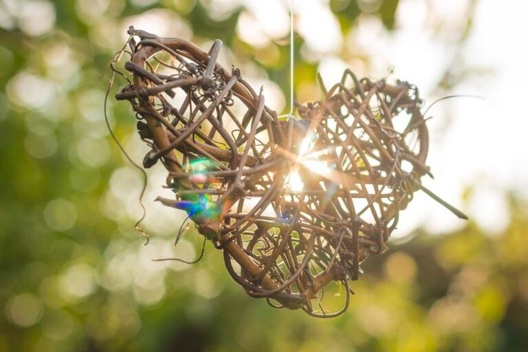 Nourrir l’Amour de soi qui ouvre à la richesse de la Vie