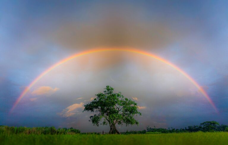 Soin énergétique de passage pour accompagner les transitions n°2 Accès gratuit